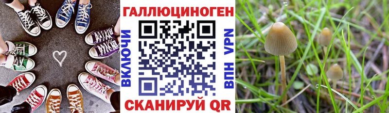 Псилоцибиновые грибы прущие грибы  где можно купить   Среднеколымск 
